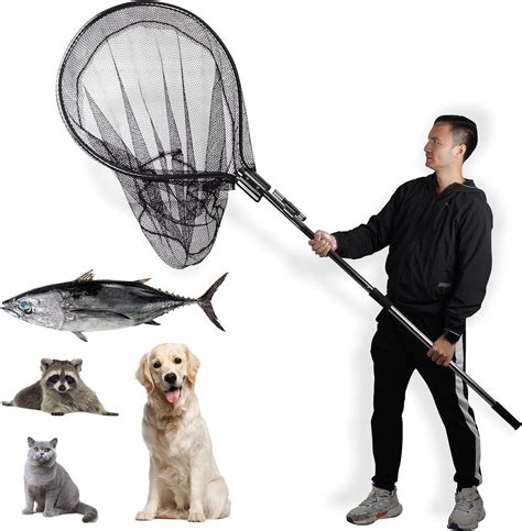 Animal Catch Net: The Ultimate Guide to Capturing Wildlife Safely