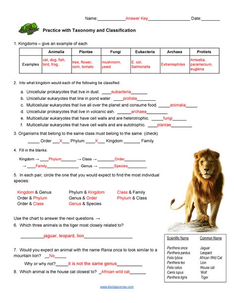 Animal Classification Answers Epub