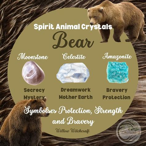 Animal Crystals: A Journey into Nature's Healing Power for True Harmony