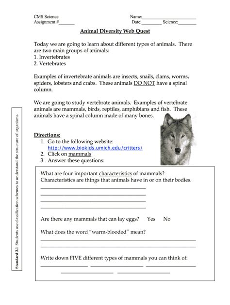 Animal Diversity Answers Reader