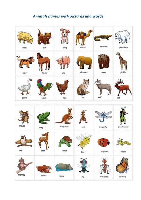 Animal Forms: