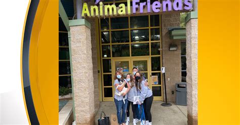 Animal Friends Pgh