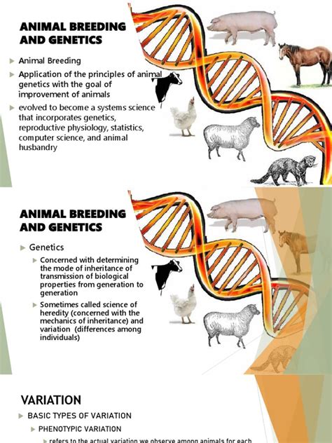 Animal Genetic and Breeding Kindle Editon