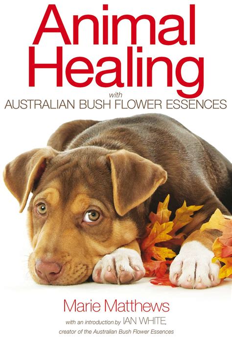 Animal Healing With Australian Bush Flower Essences Epub