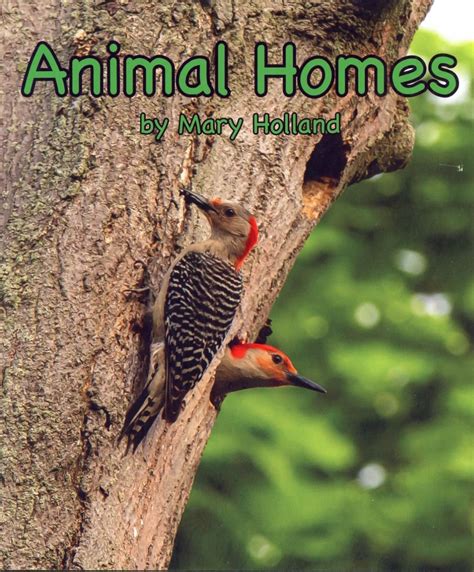 Animal Homes & Animal Sounds Pre-Sch PDF