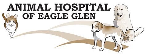 Animal Hospital of Eagle Glen: A Comprehensive Guide to Your Pet's Healthcare Needs