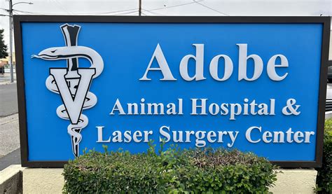 Animal Hospital of Yuba City