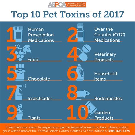 Animal Poison Control Number: A Critical Lifeline for Pet Owners