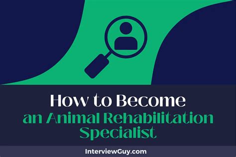 Animal Rehabilitation Careers: A Comprehensive Guide to Helping Injured Animals Heal