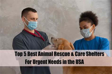 Animal Rescue and Care: