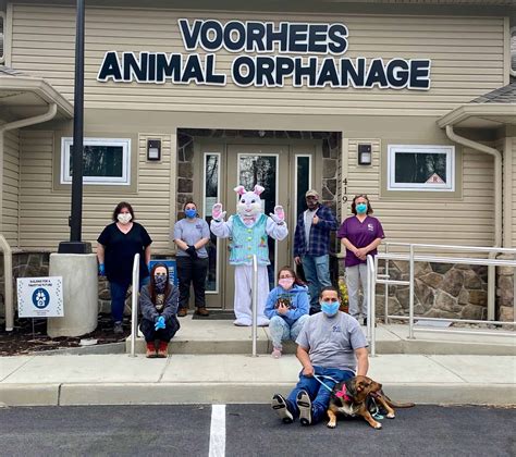 Animal Shelter Voorhees New Jersey: Saving Lives, One Paw at a Time