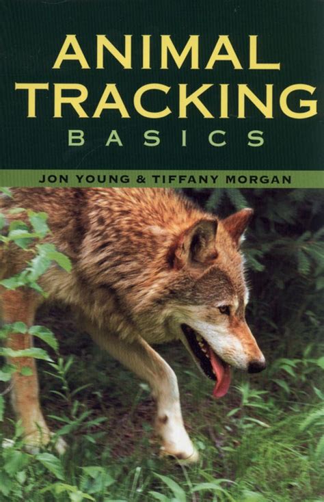 Animal Tracking Basics Epub