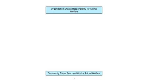 Animal Welfare: A Community Responsibility