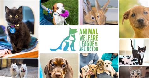 Animal Welfare League of Arlington: 10,000+ Animals Rescued in 2023