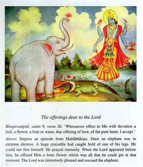 Animal Welfare and Nature Hindu Scriptural Perspectives 2nd Edition Kindle Editon