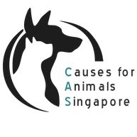 Animal Welfare in Singapore: A Comprehensive Guide to the Causes and Solutions