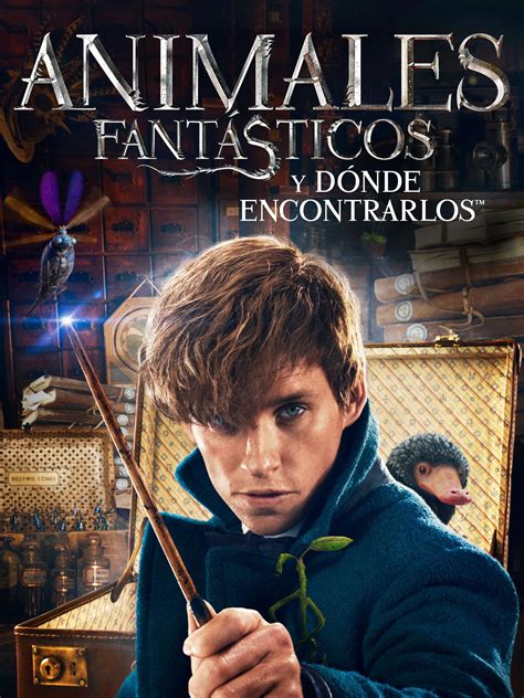 Animales Fantásticos y Dónde Encontrarlos 4: Una Guía Exhaustiva