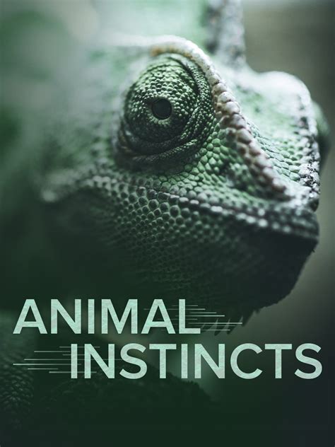 Animalistic Instincts: