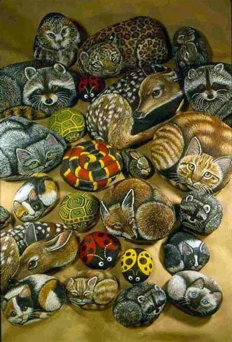 Animals Painted on Rocks: A Canvas for Creativity and Connection