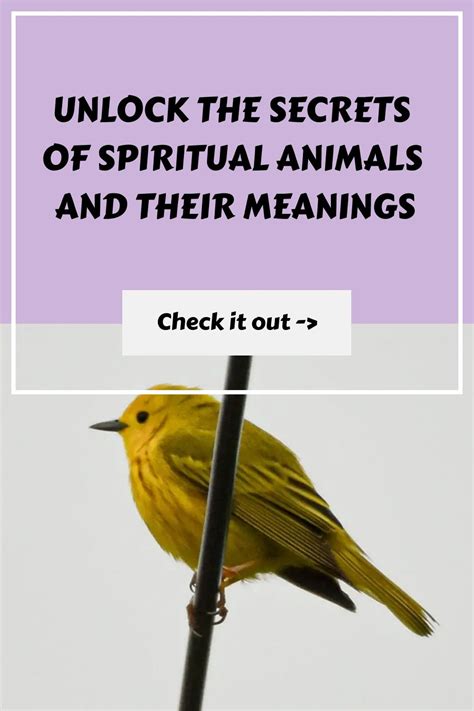 Animals and Their Spiritual Meaning: Unlocking the Hidden Wisdom of the Animal Kingdom