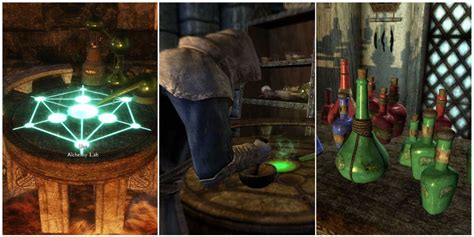 Anise Skyrim: A Comprehensive Guide to Enchanting's Master Alchemist