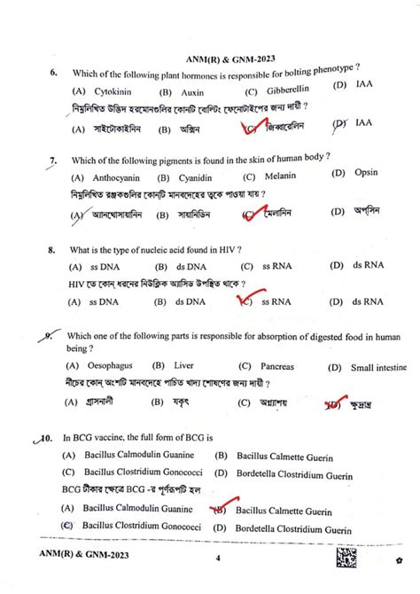 Anm Question Paper With Answer Bing PDF