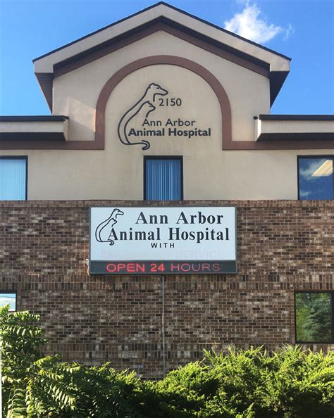 Ann Arbor Animal Hospital, Ann Arbor, MI: Your Guide to Top-Notch Pet Care