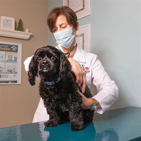 Ann Arbor Animal Hospital: 10,000+ Satisfied Clients Can't Be Wrong!