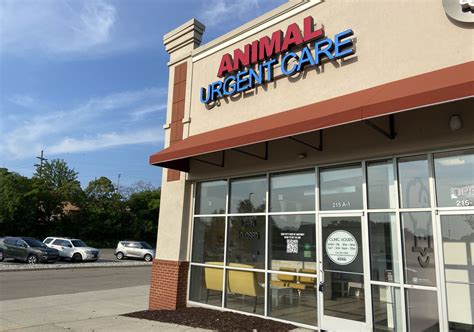 Ann Arbor Animal Hospital: Your Pet's Trusted Care Center in 2025