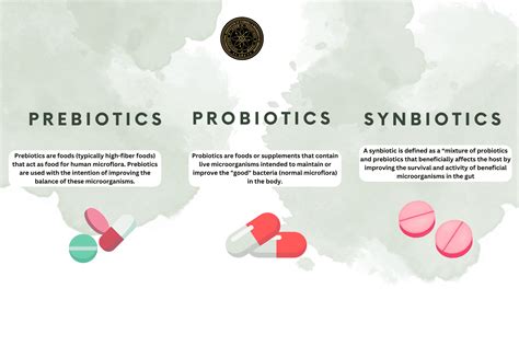 Anna Molli: Unlocking the Secrets of Optimal Gut Health with Probiotics