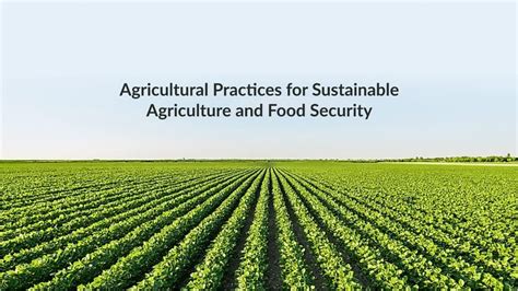 Annaadelos: Unlocking Sustainable Agriculture Practices for Future Food Security