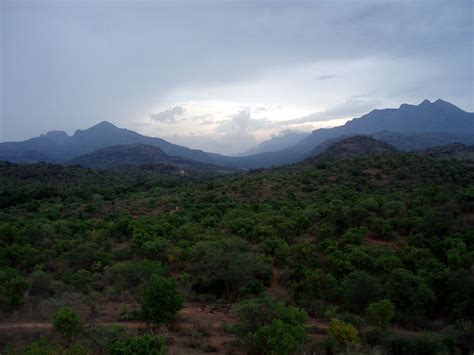 Annamalai Hills