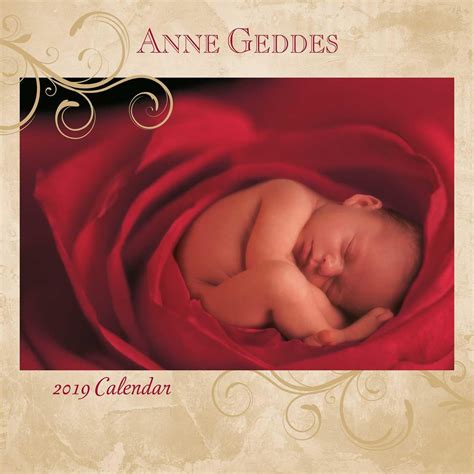 Anne Geddes 2019 Monthly Weekly Planner Calendar Reader