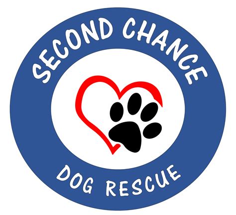 Another Chance Dog Rescue RI: Giving Second Chances to Deserving Dogs