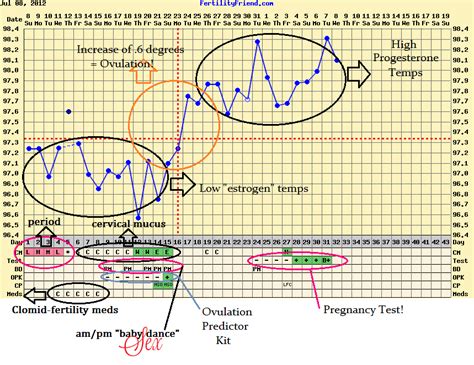 Anovulatory Bbt Chart