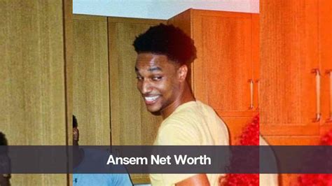 Ansem Net Worth