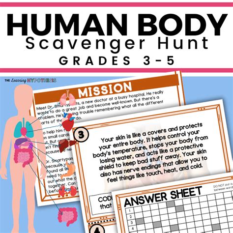 Answer For Human Body Scavenger Hunt Kindle Editon