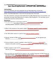 Answer Key Class Zone Electrophoresis Lab PDF