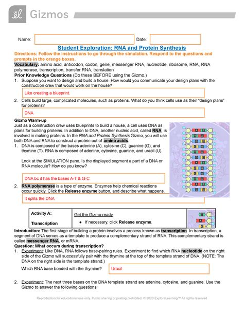 Answer Key Explorelearning Rna And Protein Synthesis Ebook PDF