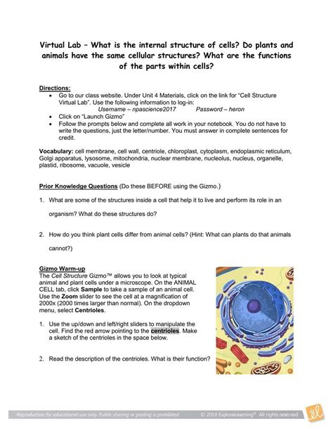 Answer Key For Cell Exploration Activities Epub