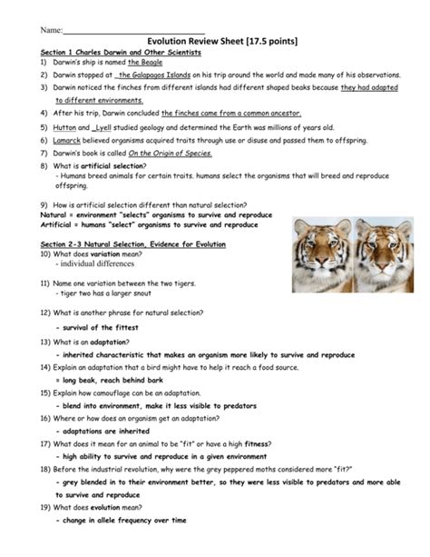 Answer Key For Evolution Review Sheet Kindle Editon