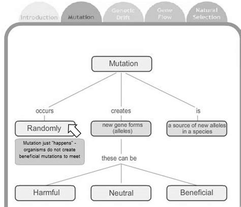 Answer Key For Mutation Concept Map Epub