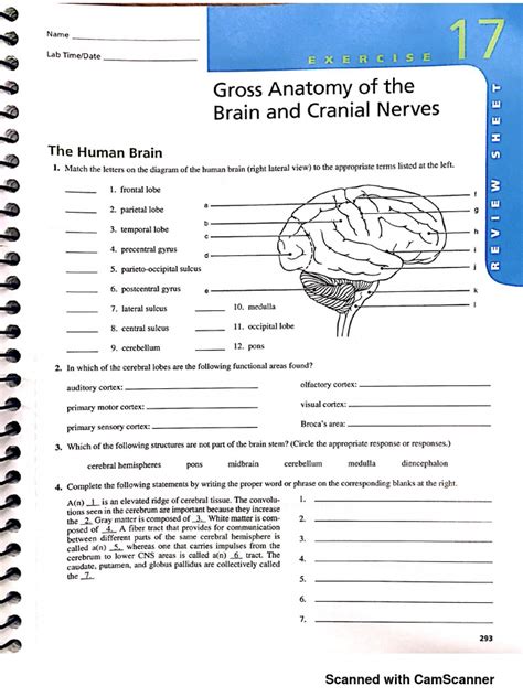 Answer Key Laboratory Exercise Cranial Nerves Kindle Editon