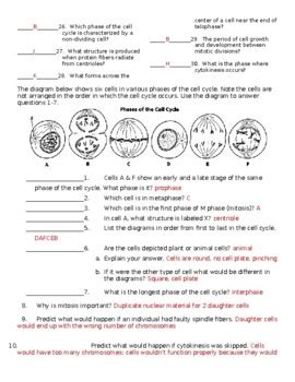 Answer Key Mcdougal Littel Biology Multicellular Life Kindle Editon