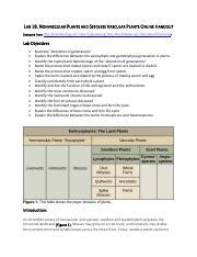 Answer Key Seedless Vascular Plants Kindle Editon