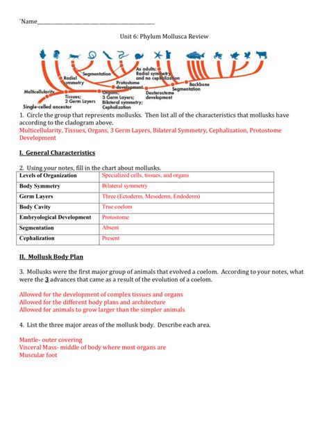 Answer Key Skills Mollusks And Annelids Reader