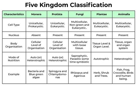 Answer Key To 20 Biological Classifications PDF