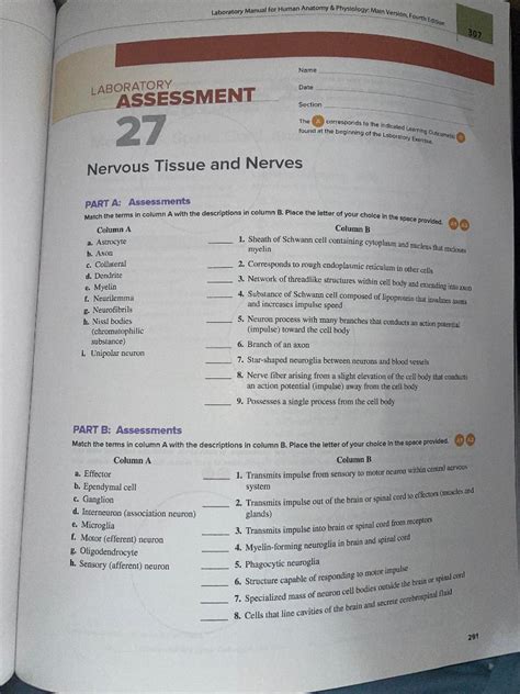 Answer Key To Anatomy Physiology Lab Manual Reader