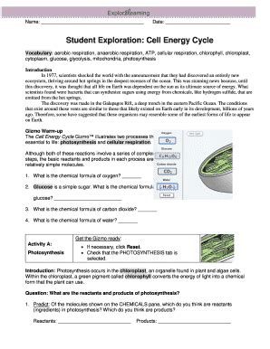 Answer Key To Gizmo Cell Energy Cycle Doc