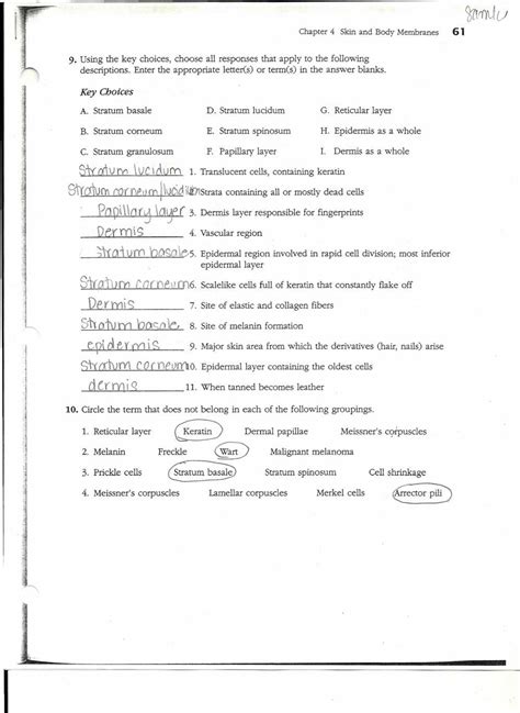 Answer Key To Pearson Anatomy Physiology Doc